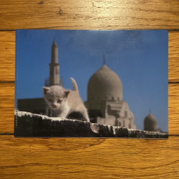 5 Small Plastic Card Folders - Picture 5 of 8